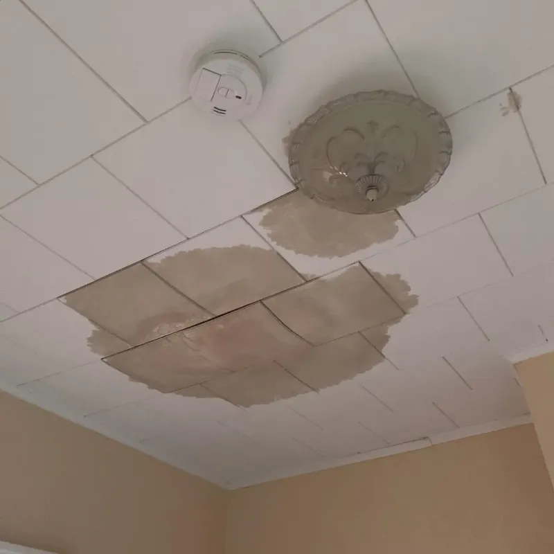 Ceiling Water Damage Repair in Sunflower County, MS