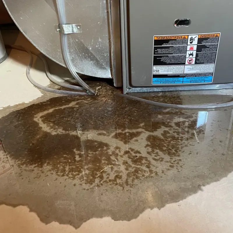 Pipe Burst and Leak Restoration in Sunflower County, MS