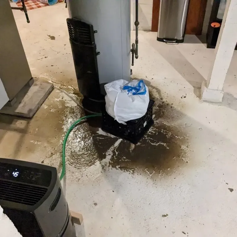Sewage Backup Cleanup Service in Sunflower County, MS
